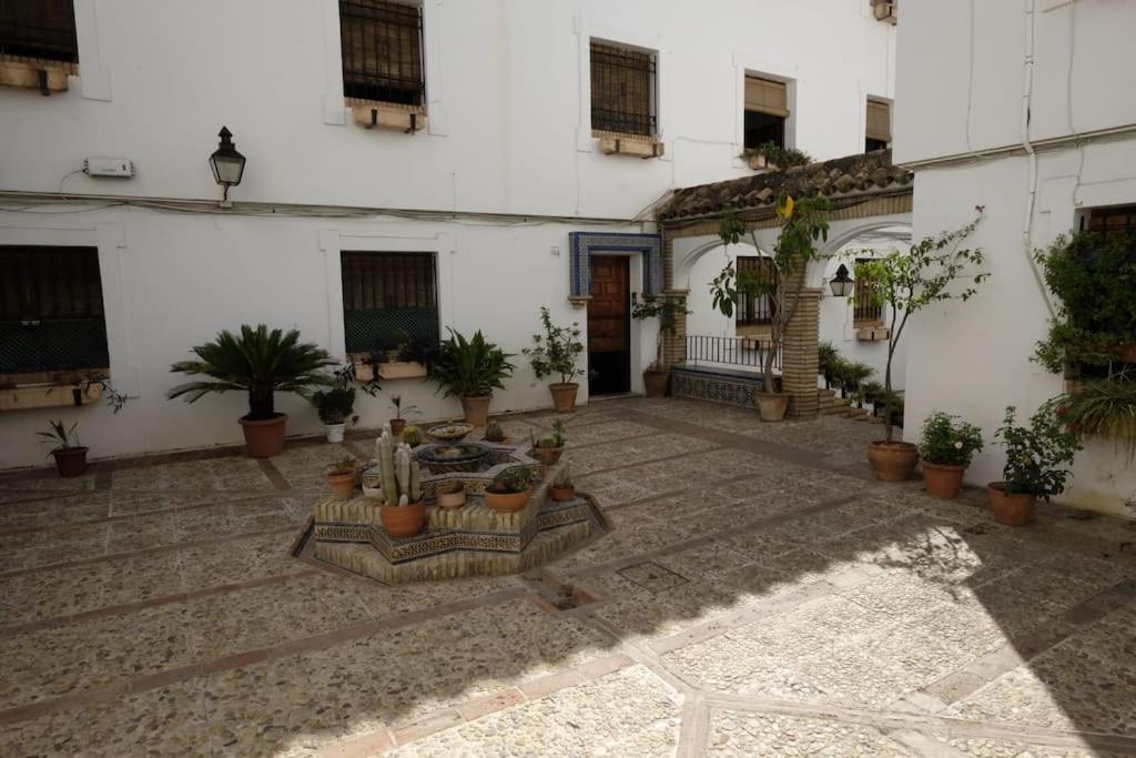Medina Paradise Córdoba Eksteriør bilde